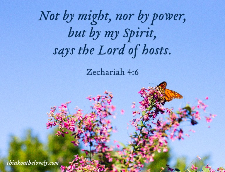 think-on-the-lovely-017