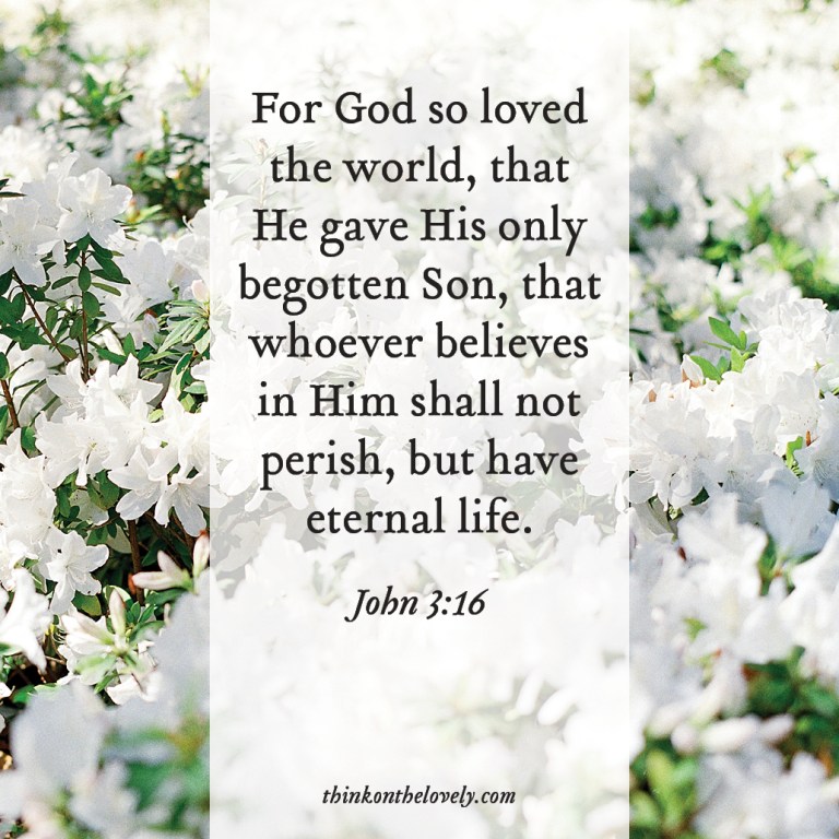 think-on-the-lovely-028