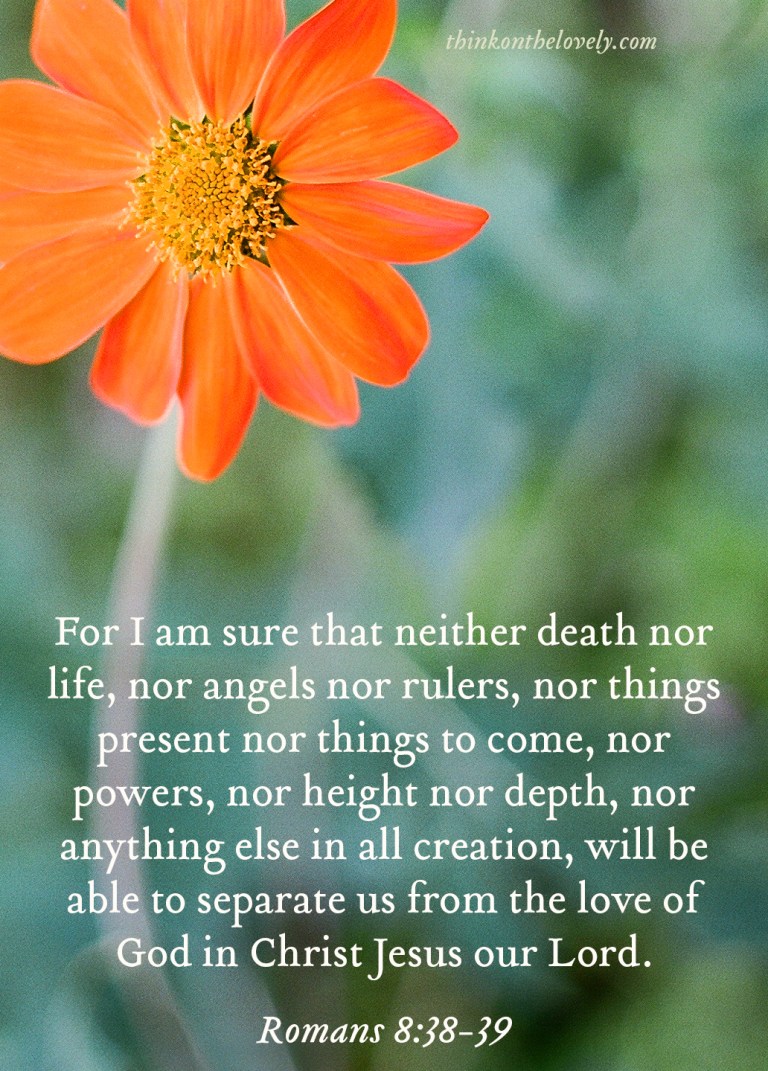 think-on-the-lovely-035