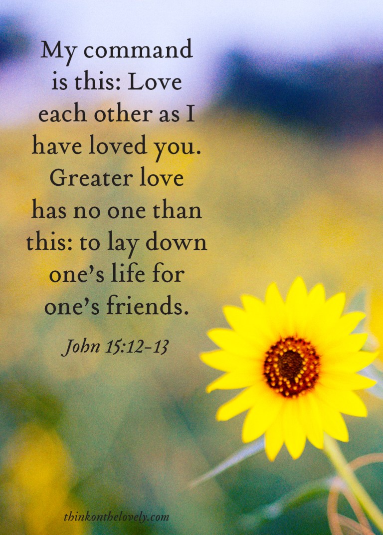 think-on-the-lovely-036