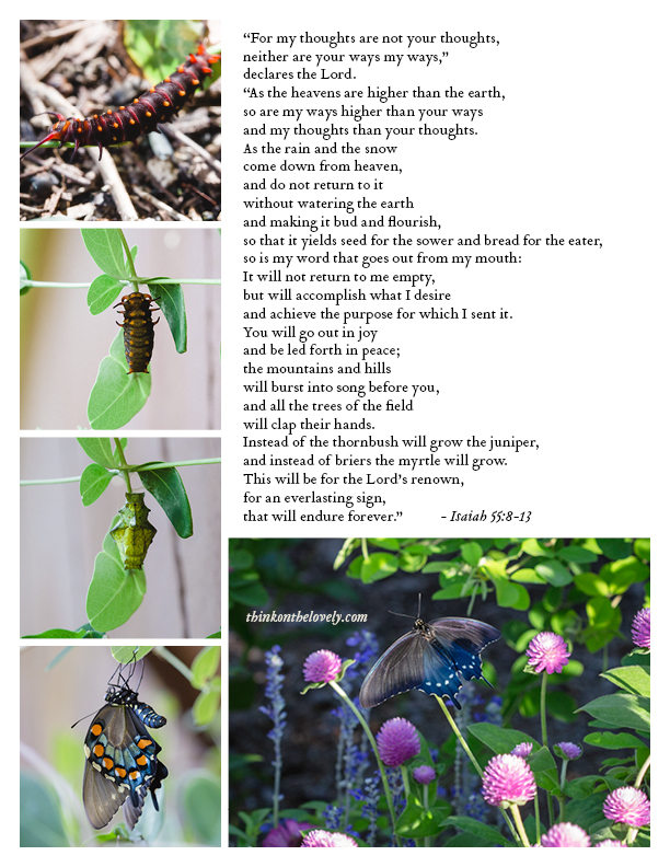 think-on-the-lovely-006