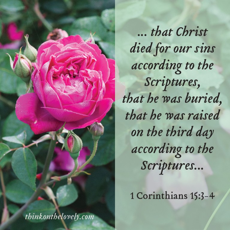 think-on-the-lovely-039